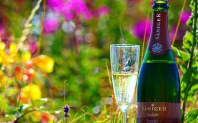 Recension av båstad [mousserande | bubbel | skumpa | tips]