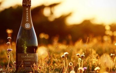 Recension av båstad [mousserande | bubbel | skumpa | tips]