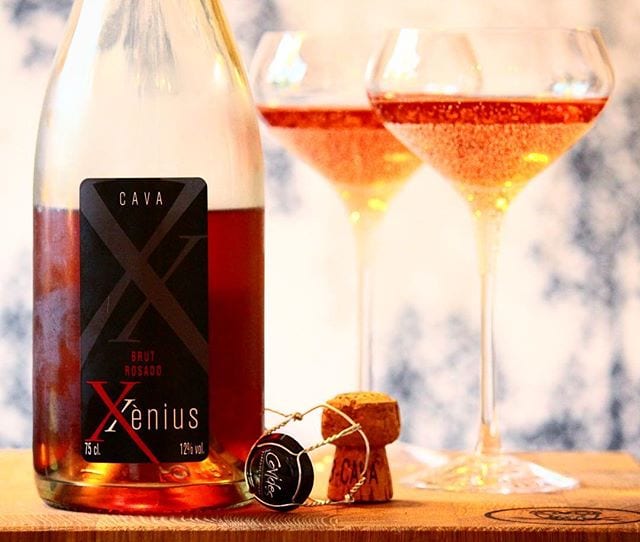 En dagsfärsk cava-lansering i form av Xènius Brut Rosado (nr 77844; 109 kr)! Skapelsen är djupröd med en fyllig moussé. Den är helt baserad på Trepat-druvan vilket ger den de karaktäristiska smakerna som jordgubbe, hallon och röda vinbär. Doften är relativt diskret till en början, men med stigande temperatur öppnar den sig till en lätt bärig upplevelse. Smaken är frisk och fräsch med tydligt fruktiga inslag av moget äpple, smultron, jordgubbar, hallon, kex, granatäpple och röda vinbär. Eftersmaken är medellång och upplevs balanserad i både syra och sötma. Ett bra mousserande vin till grillade anrättningar. Betyget blir 8 (mycket bra)! "Tyvärr" måste man beställa 6 flaskor åt gången.