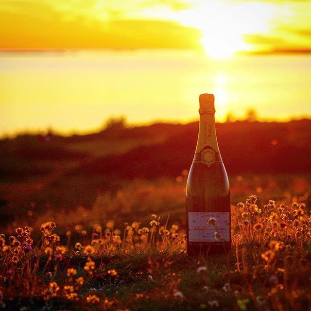 Så sakteliga börjar dagarna på den Svenska rivieran närma sig sitt slut, men ännu finns det tid för lite champagne. Ikväll njuter vi José Michel Brut Millésime 2007 Grand Vintage (från samlingslådan nr 77754; 2094 kr för 6 olika skapelser). Baserad på 55% Chardonnay där en viss del fatlagrats blandat med 45% Pinot Meunier fås en skapelse utöver det vanliga! Doften är frisk och fruktig med ett komplext djup av exotiska frukter, moget gult äpple, nötter och aprikos. Smaken är verkligen komplex och djup med ytterst trivsamma lätt parfymerade toner av mycket mogna äpplen och lätt omogna citroner. Vidare finner man viss fatton, härliga tropiska frukter, torkade aprikoser och persika. Eftersmaken är lång och mycket angenäm. Oftast används endast en mindre mängd Pinot Meunier i årgångschampagne då denna inte sägs vara lika lagringsduglig som Chardonnay och Pinot Noir, men här går José Michel & Fils mot strömmen och visar att det absolut är möjligt! Betyget bli 9 (exceptionellt)! De övriga fem skapelserna recenseras givetvis framöver!
@champagnehuset @tresors_de_champagne_boutique