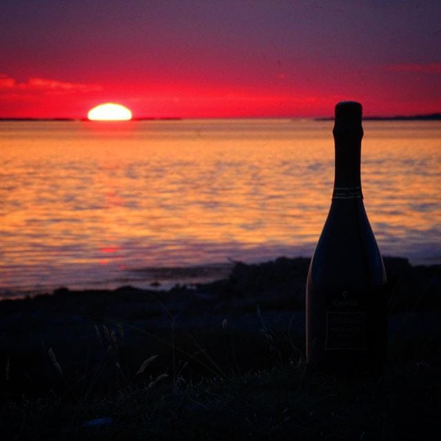 Söndagsläsning!
Många tror felaktigt att Pierre ”Dom” Pérignon (1638-1715) är uppfinnaren av mousserande vin samt att ’Méthode Traditionelle’ är den ursprungliga metoden, men så är inte fallet! För att börja från början så har man identifierat en urfader till dagens moderna vinrankor (Vitis vinifera) daterad till 130 miljoner år sedan. För ungefär 6-8000 år sedan började folk kring Svarta & Kaspiska Havet domesticera plantan och den spreds runt hela Medelhavet via Jordanien och Egypten vidare in till Grekland, Italien och Frankrike. Under många år var det endast stilla vin som gällde, men 1531 finns det dokumenterat att några Benedictinermunkar vid klostret Saint-Hilaire i Limox (närheten av Carcassonne, södra Frankrike) producerat en mousserande skapelse genom att försluta flaskan innan jäsningen avslutats, detta benämns numera som Méthod Ancestrale. Man genomförde alltså inte någon degorgering eller dosage, men numera filtreras dock vinet oftast. Vad gäller 'Méthode Traditionelle’ så måste Engelsmannen Christopher Merret (1615-1695) ackrediteras. Han lämnade in en skrivelse till den Kungliga Vetenskapsakademin 1662 med titeln 'Some Observations concerning the Ordering of Wines’ där sekundär fermentering vid tillsats av sockerarter beskrivs. Merret visade även hur flaskor skulle tillverkas för att klara av det höga trycket som skapas. Dock var spontant utskjutande korkar ett stort problem och det tog ända till 1844 innan Adolphe Jaqueson introducerade en tidig version av den stålgrimma, Muselet, som idag hittas på de flesta mousserande viner.
Ha en finfin söndag!