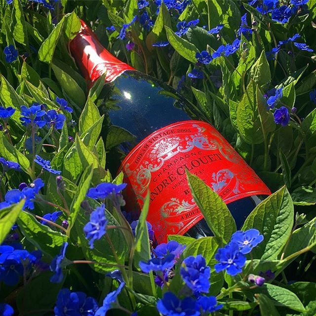 André Clouets 'Dream Vintage' kollektion är verkligen en fröjd för ögat. Ikväll är det 2005an som gäller - någon som redan provat den?
_______________
? André Clouet Dream Vintage 2005 (nr 77543; 449 kr).
 100% Chardonnay.
 0,5 g/100 g (5 g/L).
? En diskret doft av moget äpple, citrusfrukter, nötter med en lätt blommig underton.
 Torr, fruktig och frisk med toner av gult och rött äpple, lime, grapefrukt, örter, nötter och mineral.
 André Clouet har nyligen skapat en "Dream Vintage" kollektion där man, till skillnad från sina övriga skapelser, uteslutande använder Chardonnaydruvor. Just nu finns 05, 06, 08 och 09 att tillgå på Systembolaget. De jag provat, inklusive denna, är mycket trevliga och fruktiga, men jag tycker nog att den är snäppet lägre kvalitetsmässigt i jämförelse med den vanliga årgångsskapelsen. Dock är Dream Vintage helt klart värda att prova!
? 8,5 (mycket bra)!
_______________
@wineworldsweden @vingruppen
