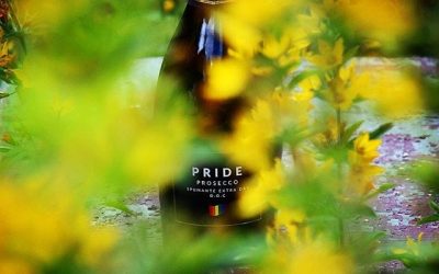 Recension på Instagram Aug 01, 2017 @ 19:28