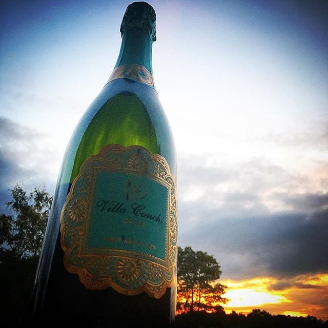 Lillördag och Cava-afton! I slutet på maj i år lanserades denna kreation och nu var det äntligen dags att prova! Snygg etikett och trivsamt innehåll! Ha en underbar onsdag!
_______________
? Villa Conchi Cava Brut Selección (nr 81501; 109 kr).
30% Parellada, 30% Xarel.lo, 30% Macabeo och 10% Chardonnay.
1,2 g/100 ml (Brut).
? Lätt, fruktig och diskret doft med inslag av röda äpplen, citrusskal, jäst och mineral.
Torr, frisk och lätt smak med toner av grapefrukt, röda äpplen, päron, ljust bröd, honung och mineral.
Villa Conchis vingård befinner sig i Baix Penedès, området mellan Barcelona och Tarragona, på 250 meters höjd. Just denna kreation har legat 12 månader på jästfällningen och är baserad på 1/3 vardera av de klassiska druvorna med en mindre addering av Chardonnay. Den har stora och täta bubblor med en frisk och trivsam, men diskret, doft. Smaken är torr, men man märker att den befinner sig i det övre spannet för dosagen då det finns en underliggande druvfruktighet som har en liten lätt sötma. Smaken följer doften med rött äpple, päron och grapefrukt som primära aromer, men jag tycker mig även finna en lätt honungsnyans och mineral. En trivsam cava som inte gör en besviken!
? 8,0 (mycket bra Cava)!
_______________
@vinovativa