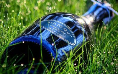 Riva Dei Frati Prosecco Treviso Brut