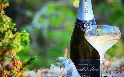 Gardo & Morris Brut