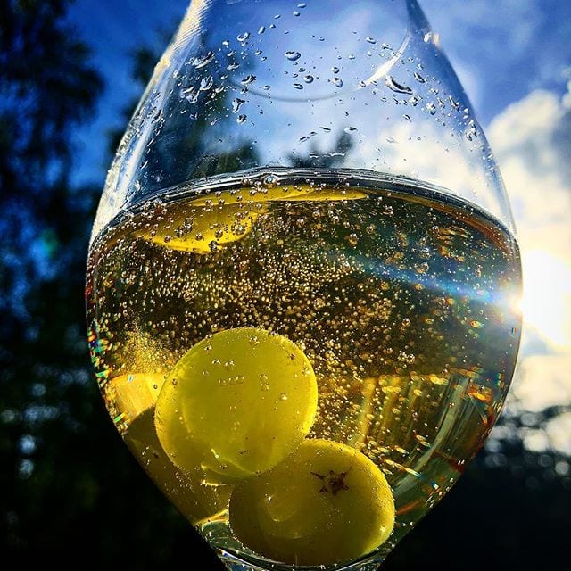 Frysta vindruvor är ett perfekt substitut till isbitar när man vill kyla ner bubblet lite extra, men inte vill göra den blaskigare! Tack till @karinsommelier för tipset ?