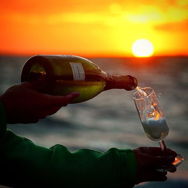 Som ni märkte från gårdagens film så döljer en fin bild ofta en annan sanning - åtminstone i mitt fall.  Här kommer iallafall recensionen!
_______________
? Elyssia Gran Cuvée Brut (nr 77150; 175 kr).
 40% Chardonnay, 30% Macabeo, 20% Parellada och 10% Pinot Noir.
 0,9 g/100 ml (Brut).
? Pigg och frisk doft av äpple, lime, mineral och ljust bröd med en bakomliggande diskret aprikoston.
 Torr och frisk med inslag av acacia ljust bröd, melon, grönt äpple, citrus, mandel och persika.
 Freixenet är världens största producent av mousserande viner och deras anrika bodega ligger nära Barcelona i Katalonien uppe i sydöstra Spanien. De producerar varje år över 130 miljoner flaskor Cava, varav ca 1 miljon exporteras till Sverige. Just denna skapelse befinner sig i vinhusets toppskikt, både vad gäller kvalité och pris. Det är ett rejält frisk och fräscht mousserande vin med tydliga acacia-toner som blandas med grönt äpple, citrus och persika. Trivsam och lång eftersmak!
? 8,5 (mycket bra Cava)!
_______________
@freixenetsverige @freixenet