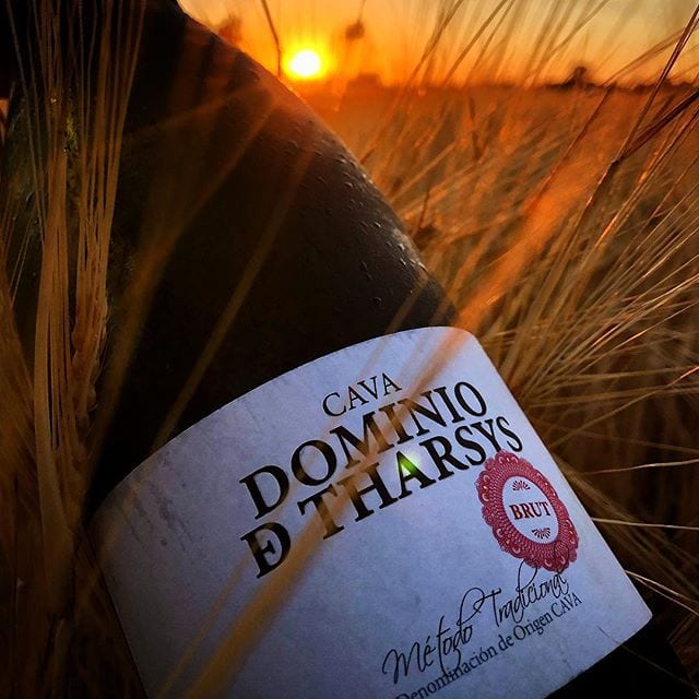 Morgonstund har guld i mund. Ikväll planerar jag att prova denna Cava; Dominio D Tharsys (nr 70977; 99 kr). Någon som känner till den?
@forssenoberg