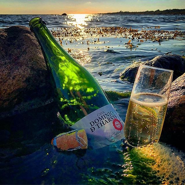 Någon som vill byta plats med mig? Sommarkvällar vid saltstänkta klippor med ett glas bubbel i handen är svårslaget!
_______________
? Dominio D’Tharsys (nr 70977; 99 kr).
 1/3 vardera av Macabeo, Parellada och Xarel.lo.
 0,8 g/100 ml (Brut).
? En lätt arom som primärt doftar äpple, päron, lime och brända mandlar.
 Torr och med en lätt besk syra som balanseras med en diskret sötma. Toner av gröna äpplen, honung, päron, gummi och mandel dominerar. Vidare finner man vingummi och citrus.
  Pago de Tharsys vinodlingar ligger inbäddat i mitten av tolv hektar ekologiska vingården. Vingården producerar sina viner under appelationerna "Vino de Pago", D.O. Utiel-Requena och D.O. Cava. Ägaren, Vicente Garcia, anses av vissa vara ’Gudfadern av Valencias Cava’. Detta är en relativt bra cava, men jag upplever aromnyanserna som lätt slutna. Nu provades den inte i optimala glas, men som bubbel vid strandkanten var den bra!
? 7,5 (bra Cava)!
_______________
@forssenoberg