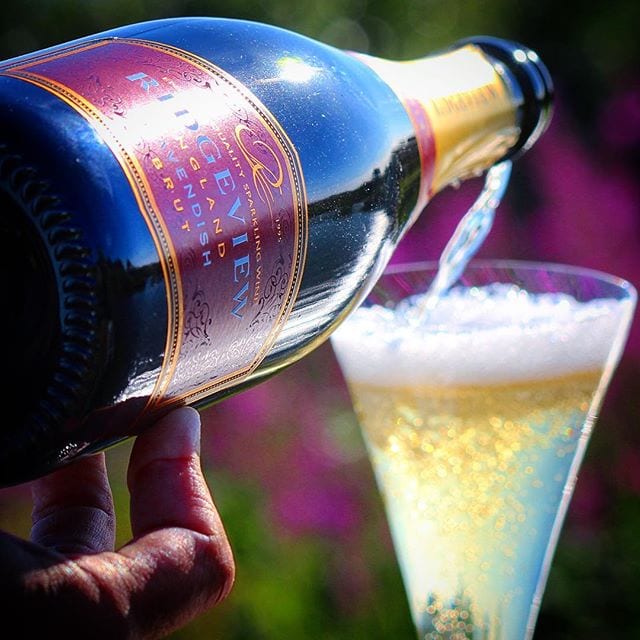 Brittiskt bubbel ikväll och den levererar en härligt pigg och frisk upplevelse! Perfekt en varm sommardag som denna!
_______________
? Ridgeview Cavendish Brut 2014 (nr 72758; 349 kr).
26% PN, 40% PM och 34% C.
0,9 g/ 100 ml (Brut).
? Doften känns ung, mycket mineralrik med inslag av röda bär, bröd och citrus.
Torr och fruktig med tydlig syra och mineralkaraktär som klingar ut i en lång och tydlig eftersmak. Aromer av röda bär, gult äpple, citrusfrukter, kryddor och rostat bröd känns igen.
Ridgeview är ett relativt ungt vinhus som startades i mitten av 1990-talet. De befinner sig i Sussex, södra England, där markegenskaperna är relativt lika det man finner i Champagne. Målet för huset är att konkurrera med Fransmännen och de har redan kammat hem en hel del Internationella priser mot just champagne. Denna skapelse har fått lega på jästen i 18 månader och har då utvecklat en pigg och fräsch karaktär med tungvikt på gult äpple, citrus och mineral. Den har en lång och trivsam eftersmak och en syra som följer med i efterdyningarna. Riktigt trevligt att njuta i sommarvärmen och kul att prova något nytt från England.
? 8,5 (mycket bra British Fizz)
_______________
@orrefors @ridgeviewwineuk @amka_sverige
