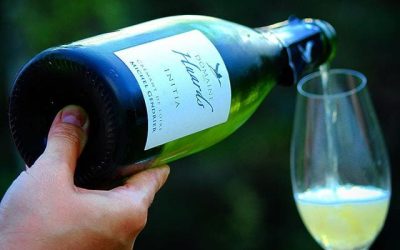Michel Gendrier Initia Crémant de Loire
