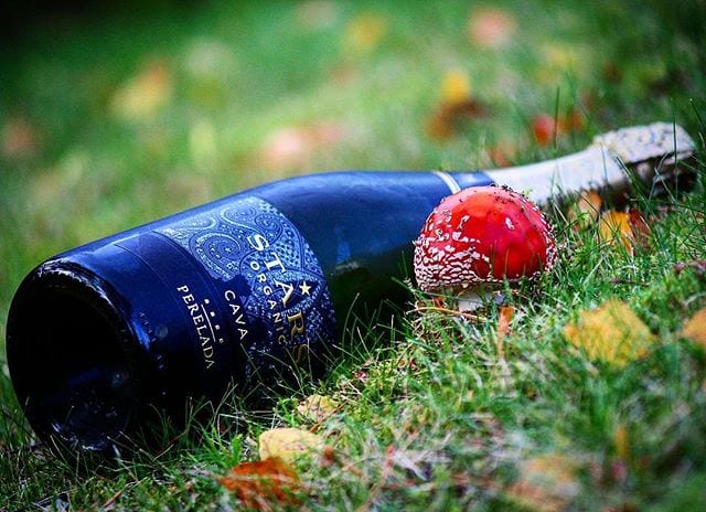 Kvällens bubbel lagd på kylning! Undra om cavan eller svampen gör att man får se stjärnor denna eftermiddag?
@vinunic @vingruppen