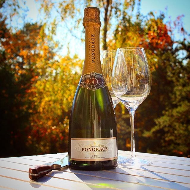 Sugen att lära dig sabrera? Svep åt vänster så ser du hur man gör!
Det är egentligen väldigt enkelt!
1️⃣ Välj helst en flaska som har tillverkats med den traditionella metoden (Champagne, Crémant, Cap Classique m.fl.).
2️⃣ Ta av all folie.
3️⃣ Ta av metallkorgen.
4️⃣ Håll flaskan i botten och lägg ’Sabeln’ längs med flaskan. Du skall träffa den lilla glasläppen vid kanten.
5️⃣ Dra ’Sabeln’ längs flaskhalsen med en bestämd rörelse och stanna först när du är förbi flaskan och njut när korken flyger iväg.
 Du behöver inte använda ett vasst föremål.
 Du behöver inte dra flaskan upp och ner längs flaskan.
 Det spelar ingen roll var du utför sabreringen så leta inte efter sömmen.
 Det är tekniken och inte kraften som avgör om du lyckas.