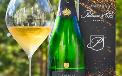 Palmer Blanc de Noirs Brut