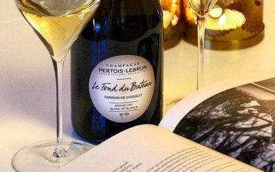 Pertois-Lebrun Le Fond du Bateau no10 2010