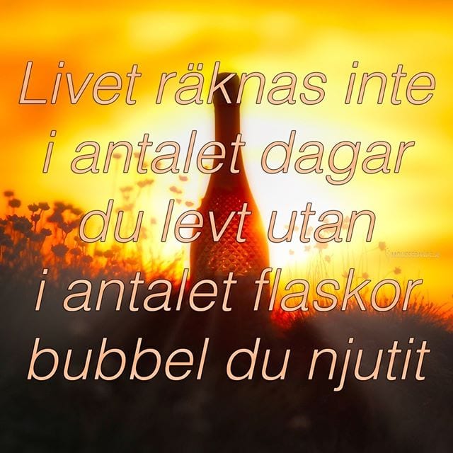 Detta borde vara allas livsfilosofi!