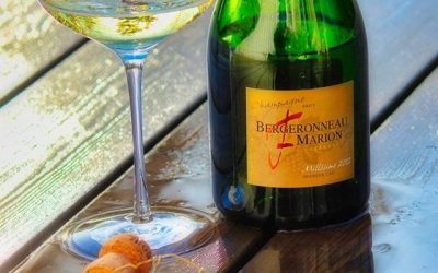 Bergeronneau-Marion Premier Cru 2012