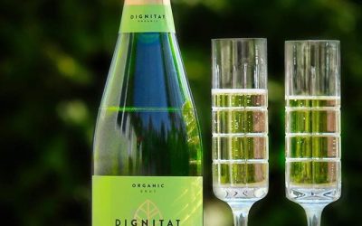 InstaRecension av mousserande vin [bubbel | skumpa | tips]