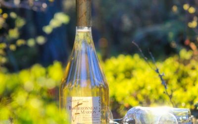 InstaRecension av mousserande vin [bubbel | skumpa | tips]