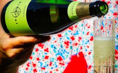 InstaRecension av mousserande vin [bubbel | skumpa | tips]