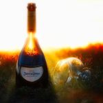 Juvé y Camps Gran Reserva Brut 2014