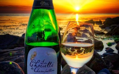 La Chouette de Champillon Blanc de Noirs