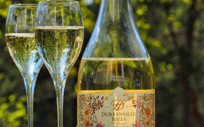Durbanville Hills Sparkling Sauvignon Blanc