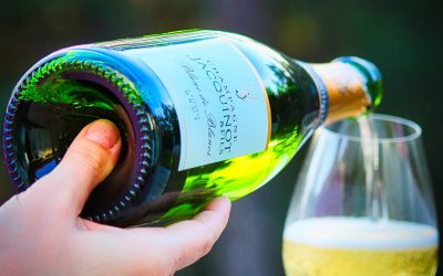 Jacquinot et Fils Blanc de Blanc