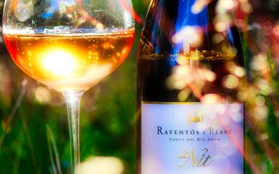 Raventós i Blanc De Nit 2017