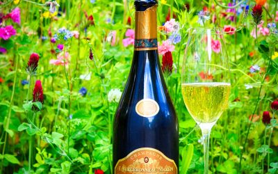 Bergeronneau-Marion Cuvée Prestige