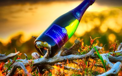 Taittinger Nocturne (provad 2020)