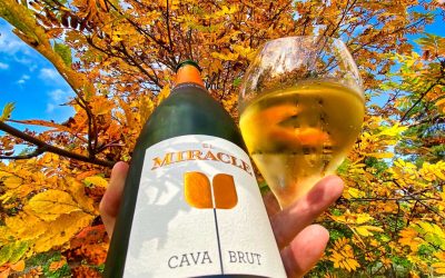 El Miracle Cava Brut (provad 2020)