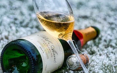 Pol Aimé Brut