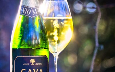 Dominio Alto Cava Brut Organic