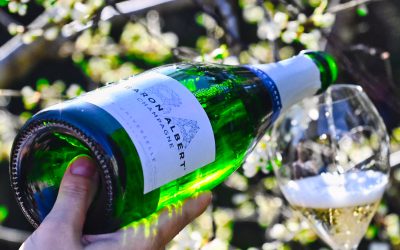 Baron Albert L’Universelle Brut