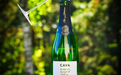 Sofia y Sebastian Cava is Best Enjoyed with Friends