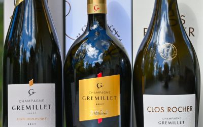 Champagneprovning Gremillet