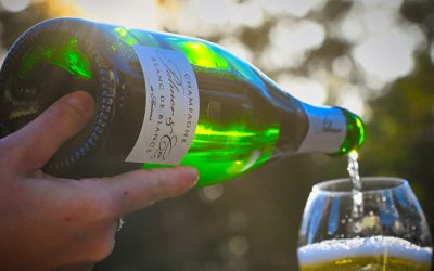 Palmer Blanc de Blancs 2015