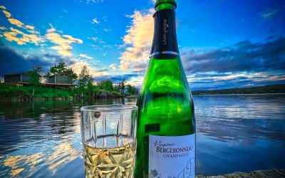 Virginie Bergeronneau Ernestine Brut Nature