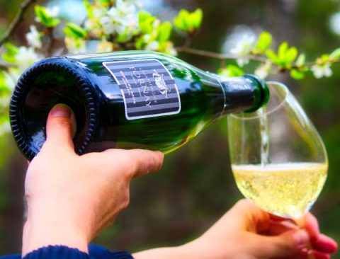 B sta Mousserande Vin Och Champagne Till Midsommar Mousserande b-sta-mousserande-vin-och-champagne-till-midsommar-mousserande