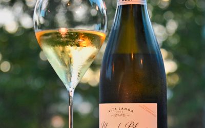 Fontanafredda Alta Langa Blanc de Blancs 2021